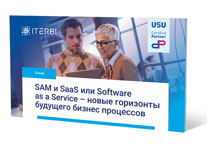 SAM и SaaS или Software as a Service — новые горизонты будущего бизнес процессов