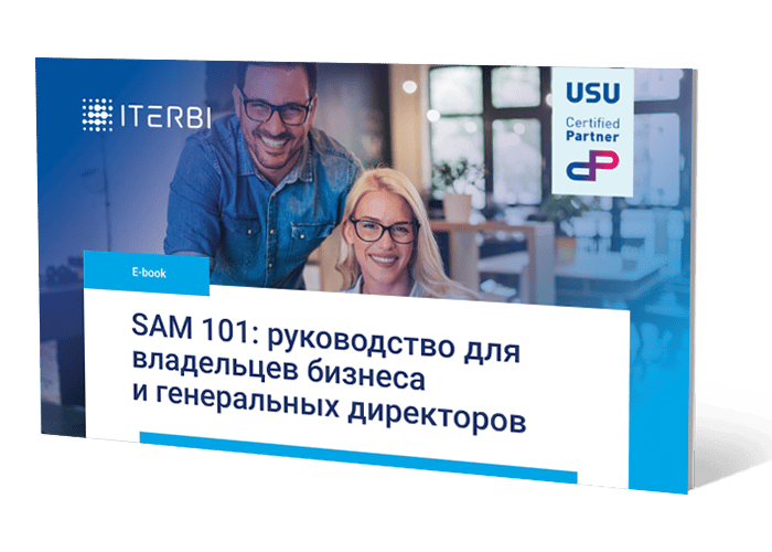 SAM 101: руководство для владельцев бизнеса и генеральных директоров